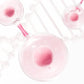 ✨Nuovi prodotti di tendenza💞Rossetto lucido opaco a lunga tenuta💞