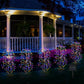 Luci solari da giardino - Decorazione per esterni